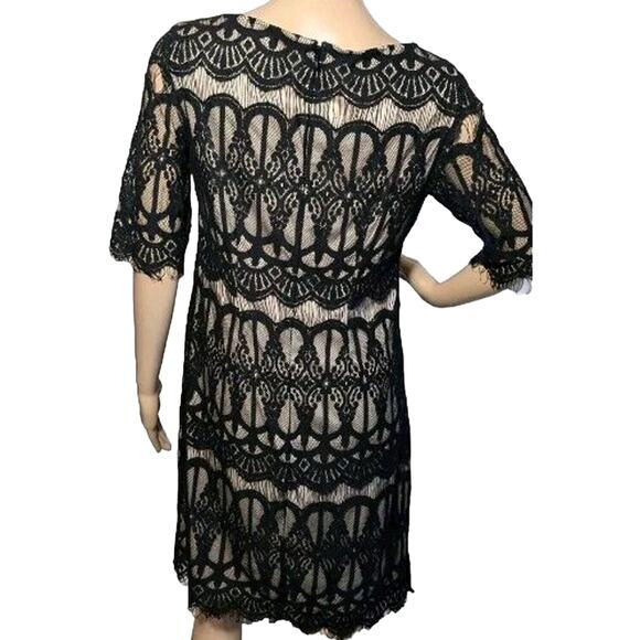 Eliza J Women's Size 6 Shift Dress Black Lace Over Tan - Picture 3 of 8